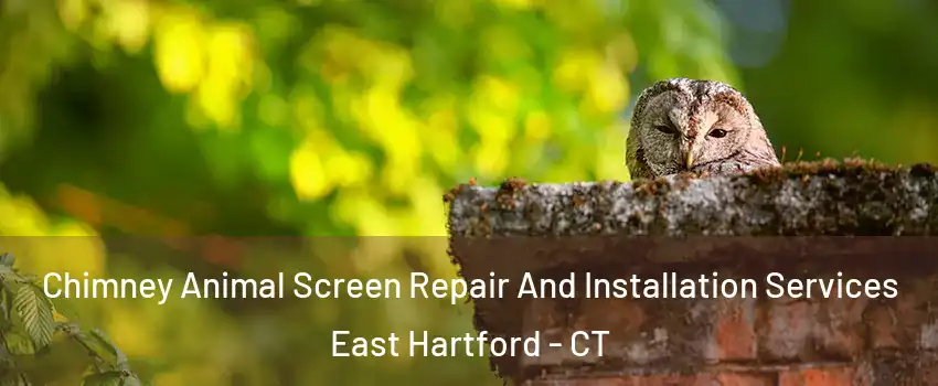  Chimney Animal Screen Repair And Installation Services East Hartford - CT
