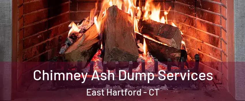  Chimney Ash Dump Services East Hartford - CT