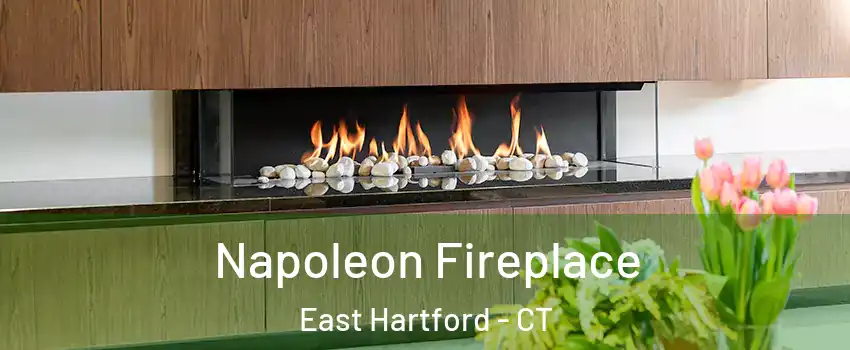  Napoleon Fireplace East Hartford - CT